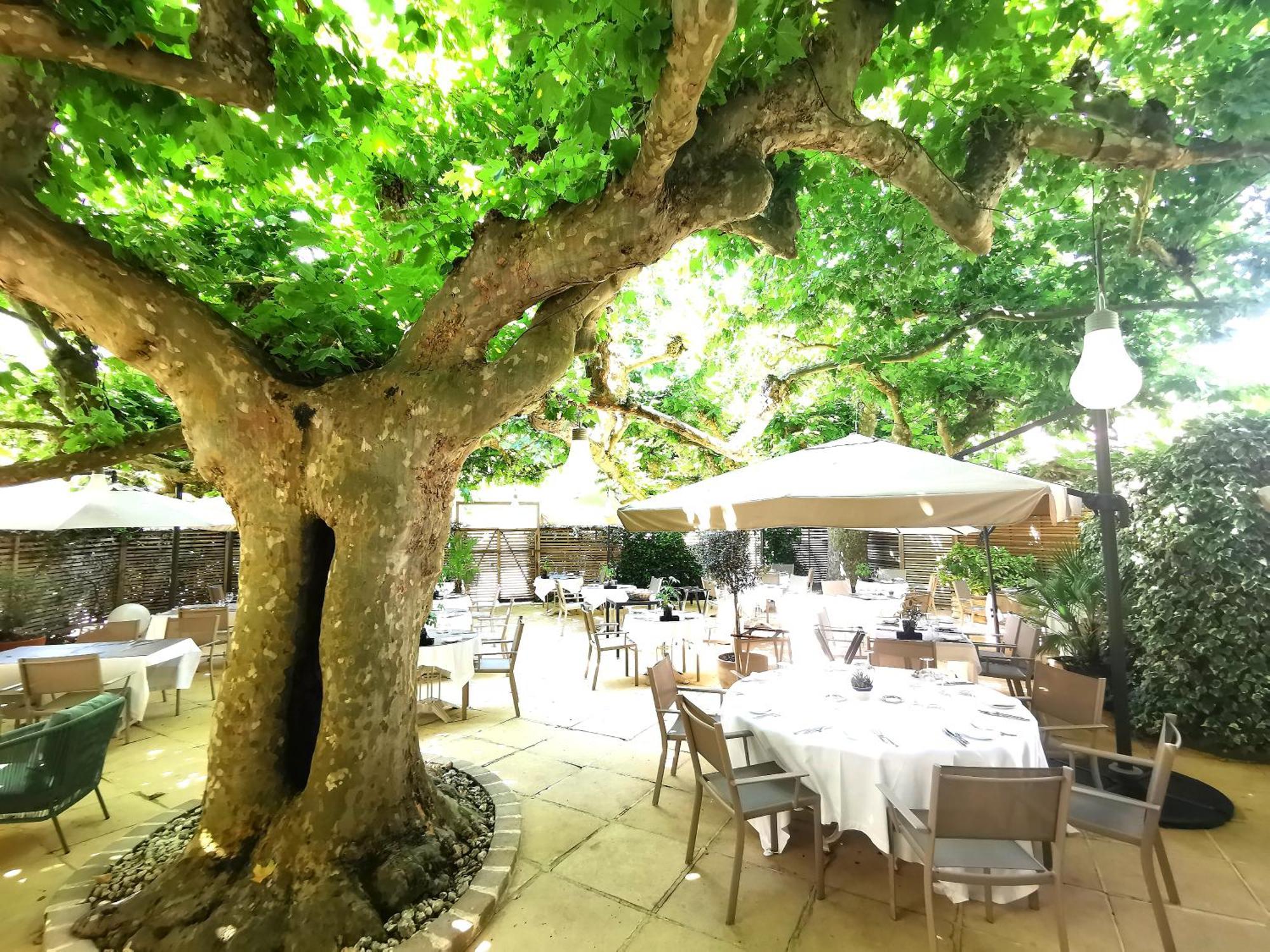 Logis Hotel - Restaurant Maison Claude Darroze Langon  Esterno foto