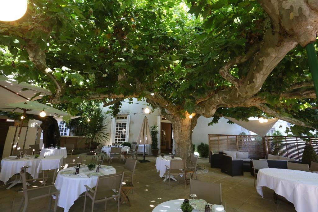 Logis Hotel - Restaurant Maison Claude Darroze Langon  Esterno foto